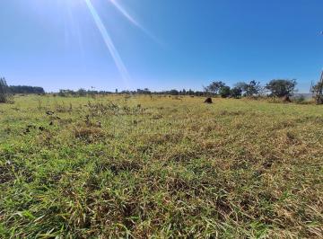 Terreno · 20011m² · Área Industrial à venda, Jardim Santa Felicidade, CAMPO GRANDE - MS