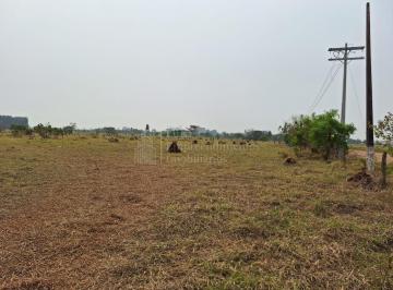 Rural · Área Industrial à venda, Jardim Santa Felicidade, CAMPO GRANDE - MS