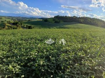 f7222da64cf58414257bd54e898a5e3deb2f1549 · Sítio à venda, 355740 m² por R$ 3.700.000,00 - Rural - Londrina/PR