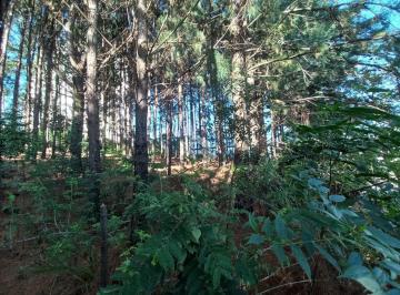 646668_iq5884_64666866ff28ca013b2.jpg · Área de terra com 2.250,06M² no bairro Campestre na cidade de São Leopoldo, aceita financiamento ban