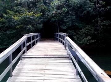 Foto 31 · Rancho nas margens Represa de Miranda com 20.000 m² em Uberlândia- MG;
