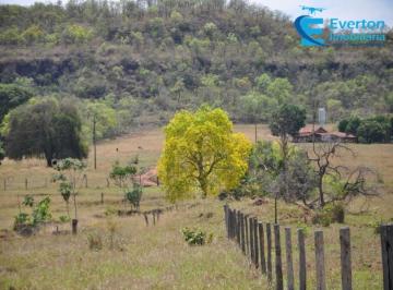 Foto 25 · Fazenda em Gurinhatã - MG com 135,52hectares, ou seja 28,00 alqueires