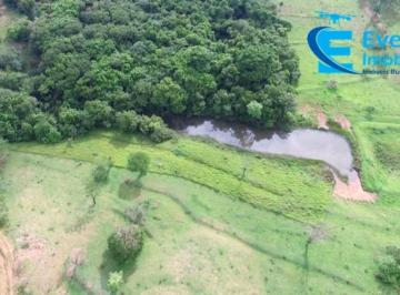 Foto 01 · Fazenda em Uberlândia - MG com 80,58 hectares ou seja 16,65 alqueires;