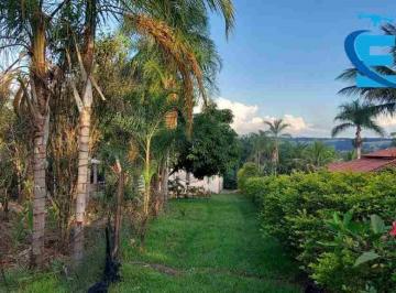 Foto 16 · Oportunidade Chácara 6.600 m2 - Represa Miranda