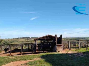 Foto 13 · FAZENDA NO MUNICÍPIO DE JOÃO PINHEIRO