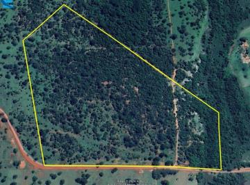 Foto 01 · SÍTIO DE 38,30 HECTARES EM SANTA VITÓRIA-MG: O PARAÍSO NO CAMPO ESPERA POR VOCÊ!