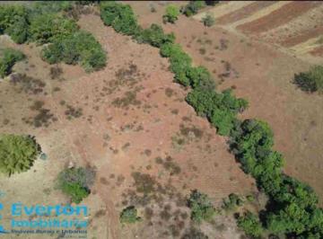 Foto 07 · Sitio 6 alqueires(29.04 hectares) em Uberlândia - Distrito de Martinésia.