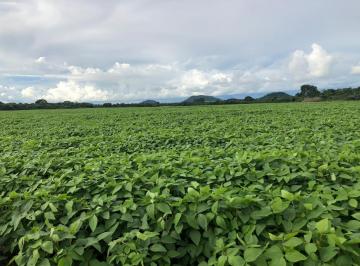Rural , Confresa · Excelente propriedade próximo a 80 km de Confresa - MT