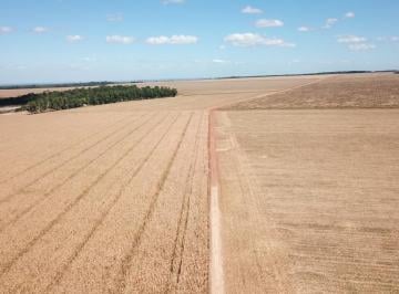 Rural , Confresa · Excelente propriedade próximo a 80 km de Confresa - MT
