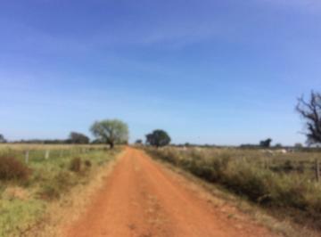 Rural , Pium · Excelente fazenda em Pium - To. 50% da área em Lavoura.