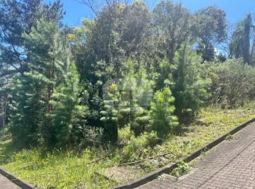 Foto 01 · Terreno, Linha Imperial, Nova Petrópolis, RS
