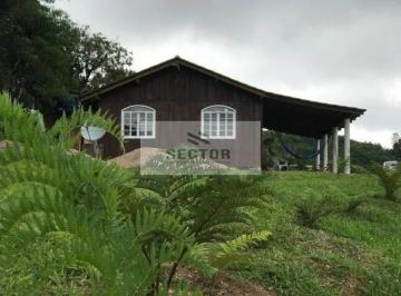 Rural · Fazenda / Sítio / Chácara em Area Rural  -  São José dos Pinhais