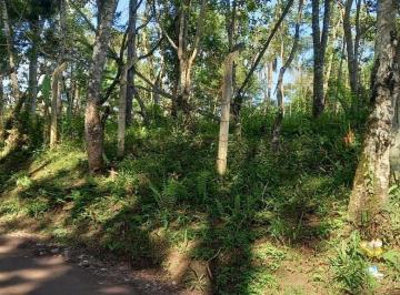 Terreno · 5000m² · Terreno em Embura - São Paulo