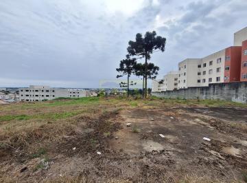 Terreno · 3000m² · Terreno à venda - no Jardim Amélia