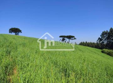 Rural · 1m² · Terreno à venda na Estrada do Mato Chiqueiro – em Balsa Nova/PR