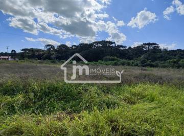 Rural · 20000m² · Chácara a venda no Bairro Rodeiozinho - em Balsa Nova/PR