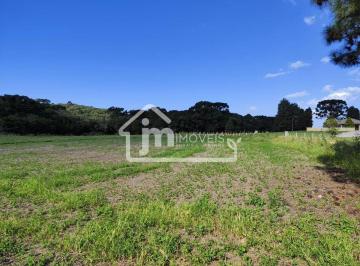 Rural · 20000m² · Chácara a venda no Bairro Rodeiozinho - em Balsa Nova/PR