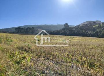 Rural · 40m² · 2 Quartos · 2 Vagas · Chácara à venda no Bairro Bugre - em Balsa Nova/PR