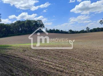 Rural · 1m² · Chácara a venda no Bairro Ipiranga - em Araucária/PR