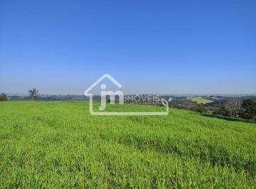 Rural · 1m² · Terreno à venda no Bairro Rodeio Santo Antônio – em Balsa Nova/PR