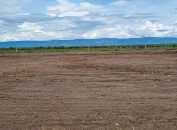 Rural , Formosa · FAZENDA - FORMOSA - GOIÁS| 715 HECTARES, DUPLA APTIDÃO, 100% PLANA
