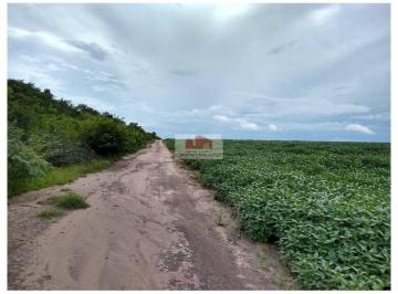 581bdf58fc2c35face93d75175d3c942.jpg · Fazenda com 11.800 hectares, com 4.260 hectares abertos, com 981 hectares em processo de licenciamen