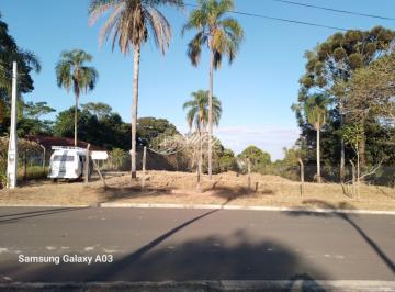 202408161100405873.jpg · Chácara para Venda em São Pedro, Floresta Escura