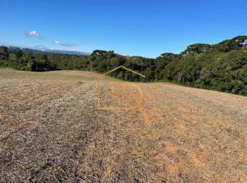 area-a-venda-em-sao-jose-dos-pinhais-colonia-murici-1131521320.jpeg · Espetacular Área Rural no Caminho do Vinho, 21.000m², à venda em São José dos Pinhais, Colônia Muric