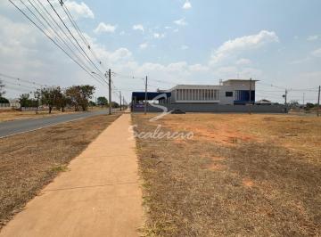 LOTE · Lote 800m², vazado, plano, ot. localização, ágio terracap , Jardim Botânico 3