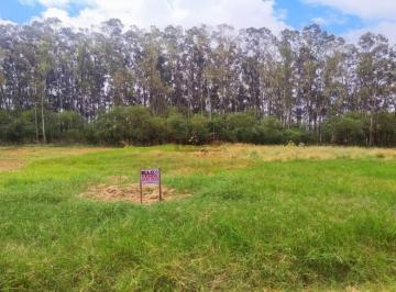 17643579900.jpg · Villa Verde / Terra Bella / Chacara / terreno / Rodovia Deputado Silvio Barros