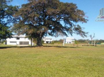 880e555da1e34e114e04150adf2b3cc3f9d7e8f3 · Vendo terreno molhado no Eldorado Ilhas Park, tem uma figueira centenária privativa no lote