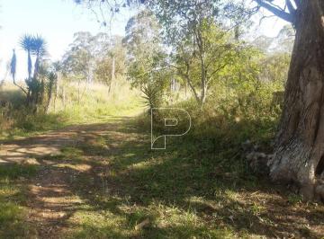 3c26512ec601f15a34816303cf86afcbb95dfa43 · Sítio à venda, 39000 m² por R$ 800.000,00 - Carmo Messias - Ibiúna/SP