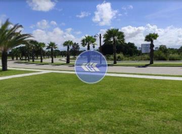 Terreno · 375m² · Amplo terreno com 375,18m² no Terra Brasilis