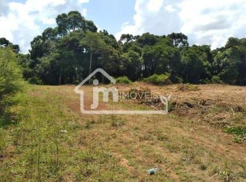 Terreno · 1m² · Terreno à venda Centro - Balsa Nova/PR
