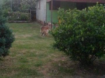 ee71f501e0b7401de95aecf7901e3ac2c6b1e19e · Vendo terreno na Avenida Florianópolis em Canoas RS, tem casa de madeira