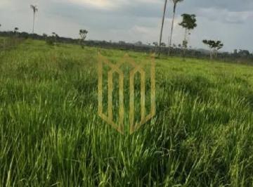 Fazenda a venda uma joia em Novo Progresso · Fazenda a venda uma joia em Novo Progresso