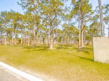 ac4cf9d7f06c86d8cb79c814f74d8688b1722420 · Terreno à venda, 1000 m² por R$ 1.800.000,00 - Acapulco - Guarujá/SP