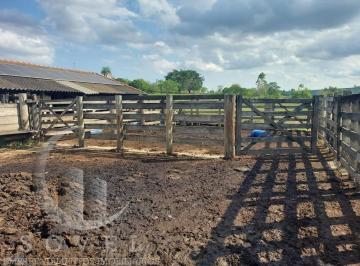 202510150951004911.jpeg · Sítio para Venda em Ipeúna, Zona rural de Ipeuna, 2 dormitórios, 1 banheiro