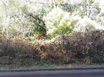 Terreno · 503m² · Lote em  Estrada Serra Velha - São Bernardo  - São Francisco de Paula/RS