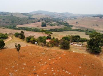 Foto 01 · FAZENDA DE 51ha C/ EXCELENTE TOPOGRAFIA, TERRA DE CULTURA E RICA EM ÁGUA À VENDA EMM PASSA-TEMPO/MG