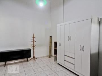Apartamento · 30m² · 1 Quarto · Apartamento para Aluguel - Sítio do Mandaqui, 1 Quarto, 30 m² - São Paulo