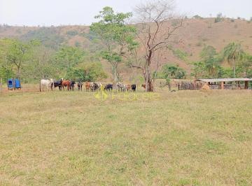 whatsapp-image-2024-10-09-at-16-18-221728584575987.jpeg · Fazenda proxima a Dutra paraa venda, , Roseira Velha, SP