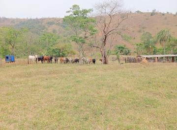 whatsapp-image-2024-10-09-at-16-18-221728584575987.jpeg · Fazenda proxima a Dutra paraa venda, , Roseira Velha, SP
