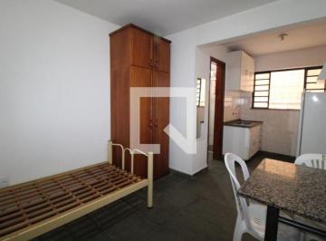 Apartamento · 30m² · 1 Quarto · 1 Vaga · Apartamento para Aluguel - Barão Geraldo - Centro, 1 Quarto,  30 m² - Campinas