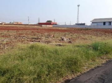 img0 · Terreno Área em Araraquara