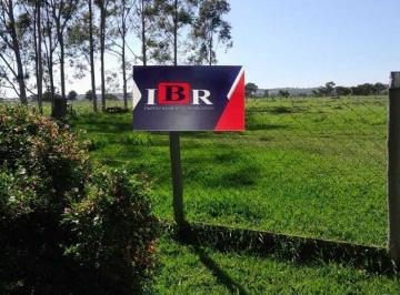 f57f1bc78fe565395c83d3bef036072c7a15dc26 · Fazenda em Inocência - MS