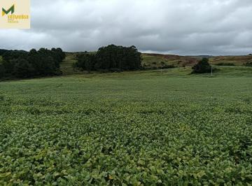 Rural · 10ha · Área de 13 há com 9 há de lavoura!!