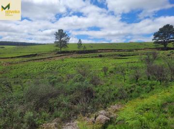 Rural · 28ha · Campo com 29 há no asfalto!!