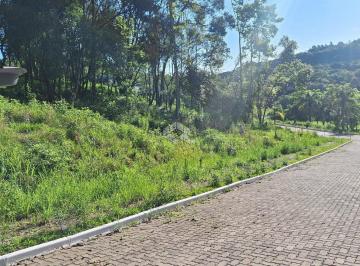 648019_il89Q7vK5Xoe1JfpeNs3_648019670975bc79bd7.jpg · Terreno com 426,60 m2 em área arborizada na serra gaúcha