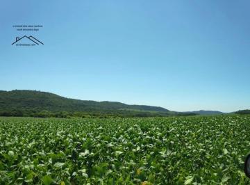 Foto 01 · Fazenda, Centro, Ponta Porã, MS